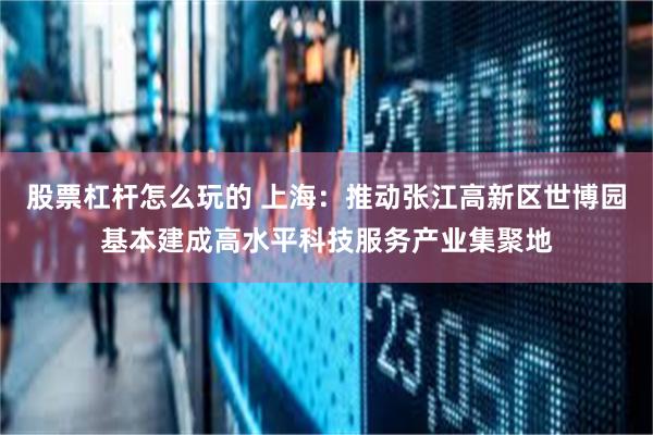股票杠杆怎么玩的 上海：推动张江高新区世博园基本建成高水平科技服务产业集聚地