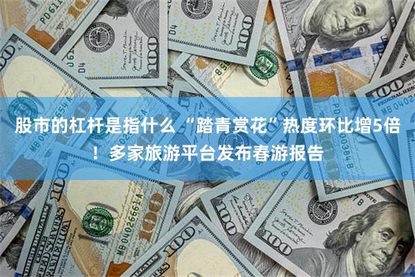 股市的杠杆是指什么 “踏青赏花”热度环比增5倍！多家旅游平台发布春游报告