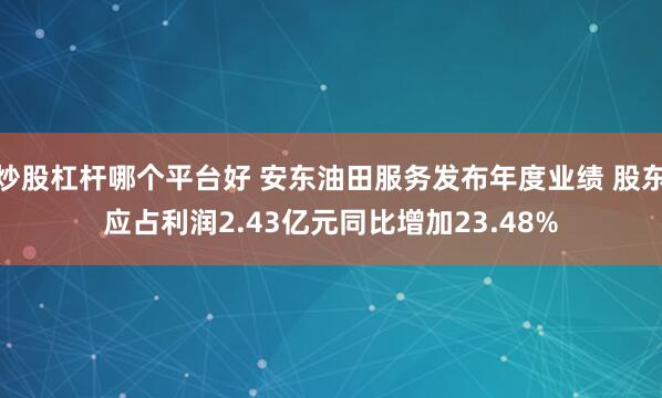 炒股杠杆哪个平台好 安东油田服务发布年度业绩 股东应占利润2.43亿元同比增加23.48%