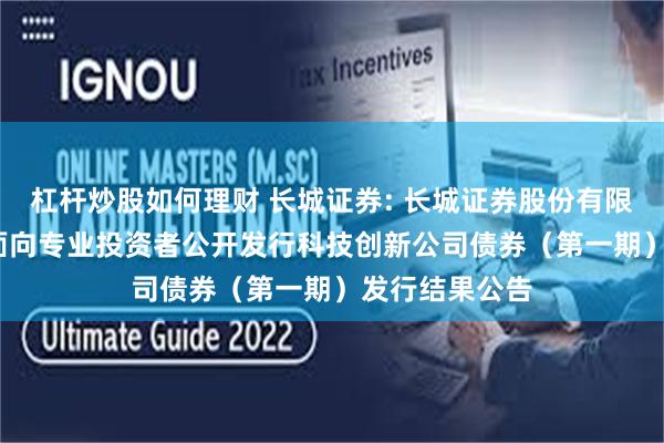 杠杆炒股如何理财 长城证券: 长城证券股份有限公司2025年面向专业投资者公开发行科技创新公司债券(第一期)发行结果公告