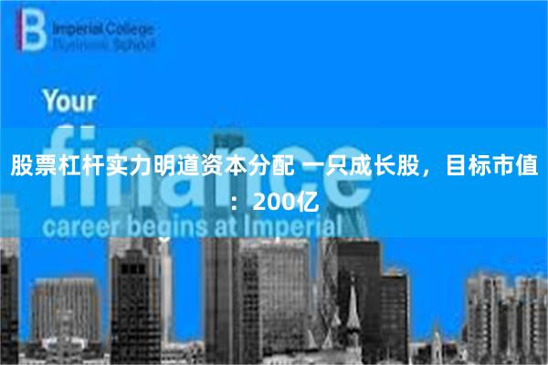 股票杠杆实力明道资本分配 一只成长股，目标市值：200亿