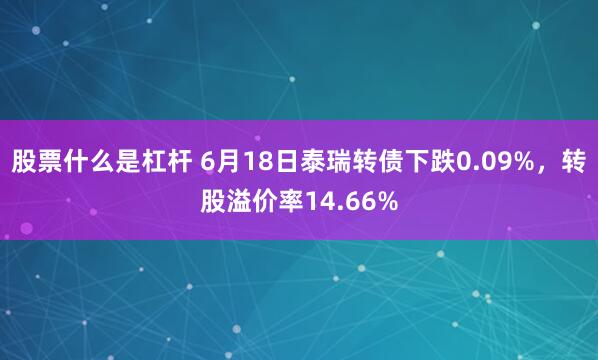 股票什么是杠杆 6月18日泰瑞转债下跌0.09%，转股溢价率14.66%