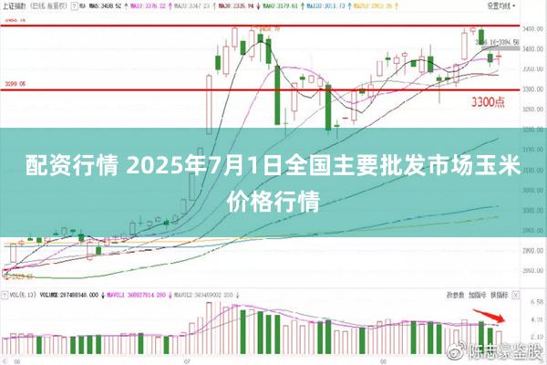 配资行情 2025年7月1日全国主要批发市场玉米价格行情