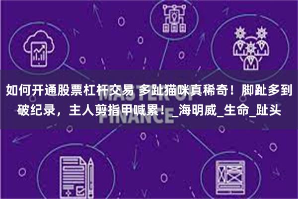 如何开通股票杠杆交易 多趾猫咪真稀奇！脚趾多到破纪录，主人剪指甲喊累！_海明威_生命_趾头