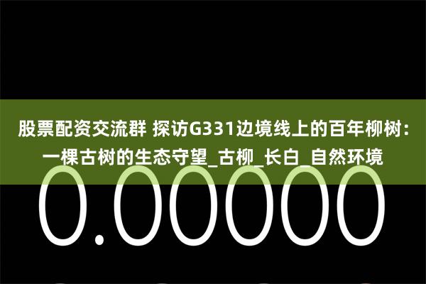 股票配资交流群 探访G331边境线上的百年柳树：一棵古树的生态守望_古柳_长白_自然环境