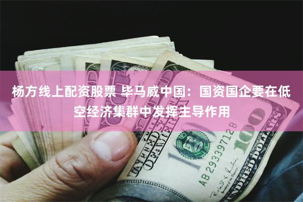 杨方线上配资股票 毕马威中国：国资国企要在低空经济集群中发挥主导作用